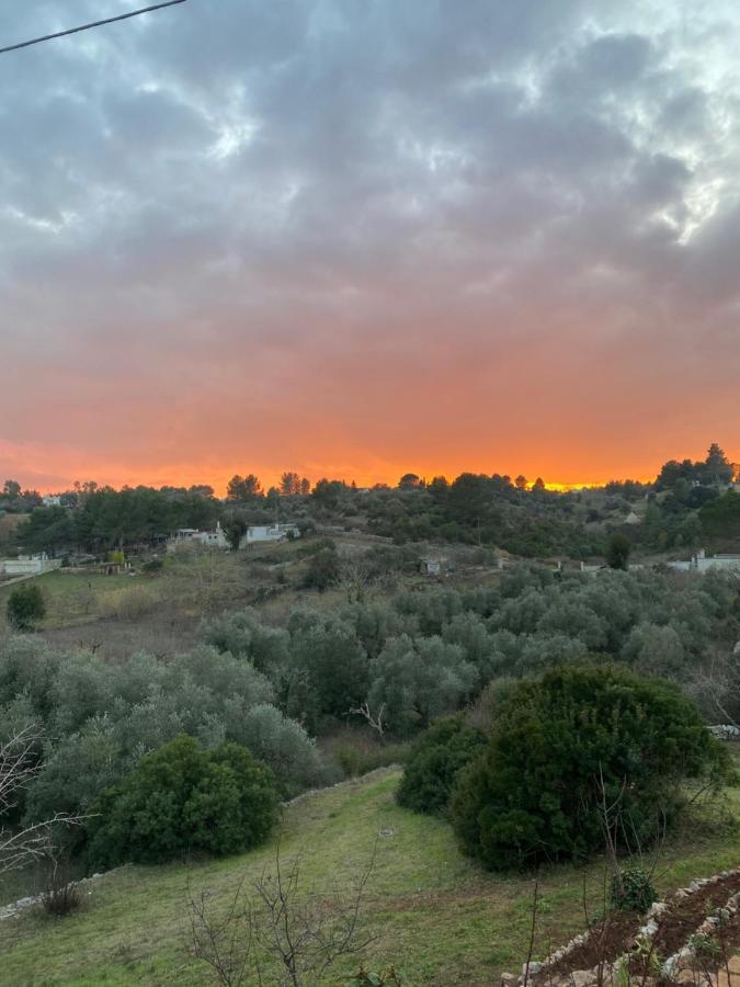 Yours Trulli マルティナ・フランカ エクステリア 写真